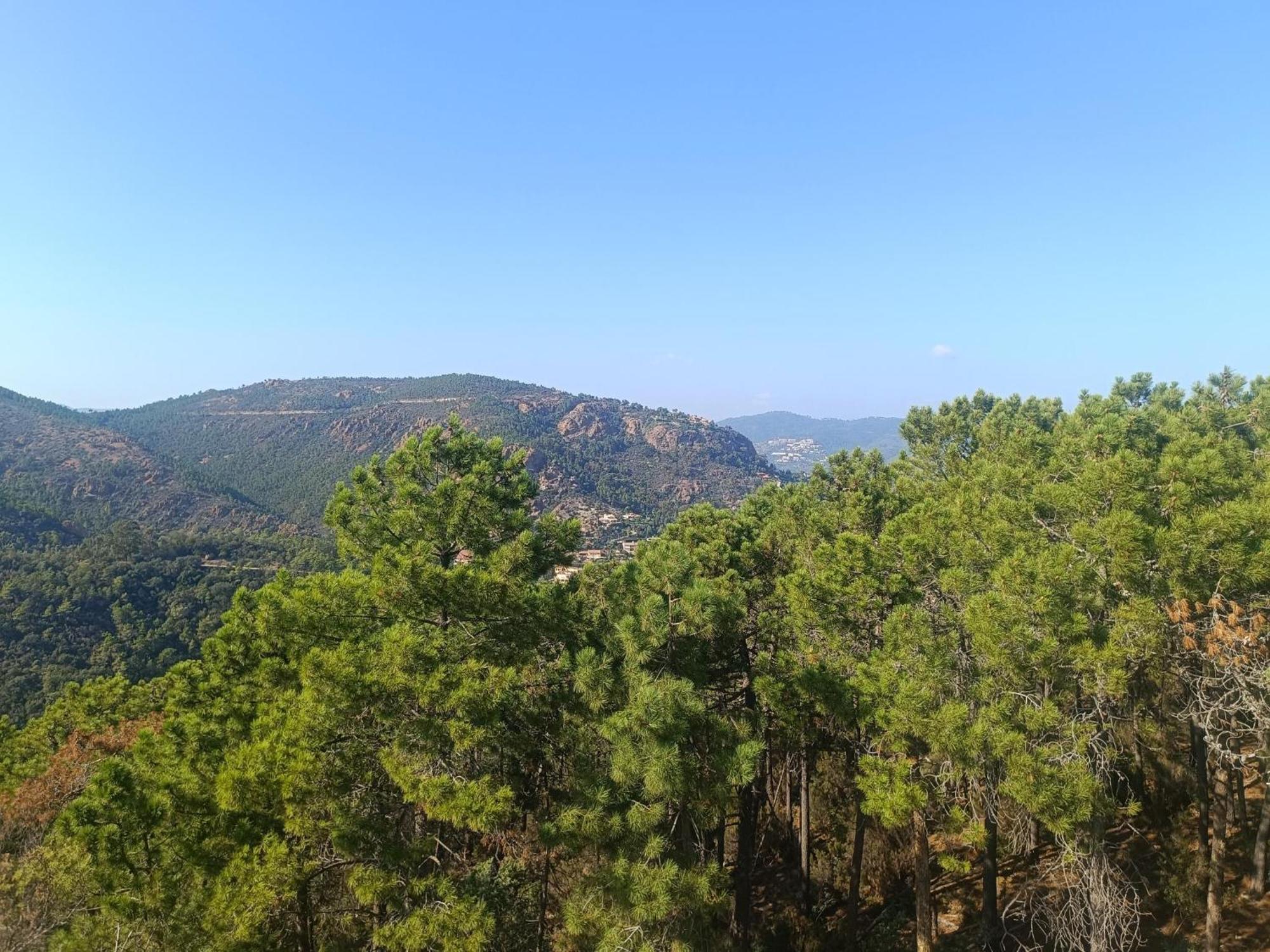 Magnifique Vue Mer Et Piscine - Les Cles De L Esterel Théoule-sur-Mer Eksteriør billede